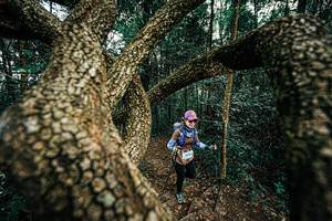 BIB: 
                            <button type="button" onclick="openModal(25393299)" class="btn btn-primary btn-sm float-right btn-popup" data-toggle="modal" data-target=".modal-high-quality">
                        <i class="fas fa-shopping-cart"></i> Add to Cart
                    </button>
                                            <button type="button" onclick="isThisMe(25393299, true)" class="btn btn-success btn-sm float-right btn-popup btn-isme hidden" data-toggle="tooltip" data-placement="bottom" title="นี่คือรูปของคุณใช่ไหม คลิกที่นี่เพื่อเอาเข้าอัลบั้ม">
                        <i class="fas fa-plus"></i> Add to album
                    </button>
                    <button type="button" onclick="isThisMe(25393299, false)" class="btn btn-warning btn-sm float-right btn-popup btn-isnotme hidden">
                        <i class="fas fa-ban"></i> Remove from album
                    </button>